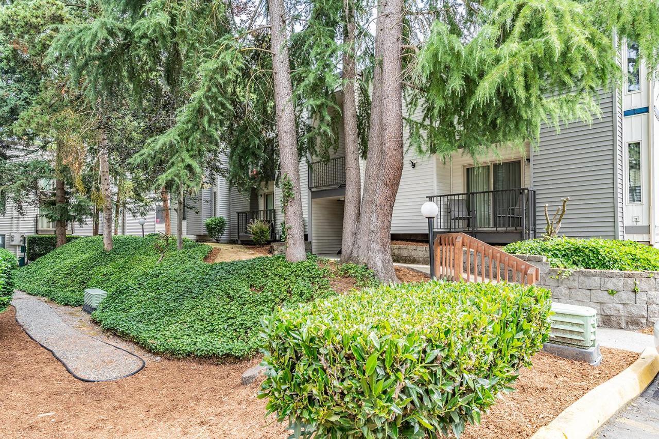 Beautiful And Cozy One Bedroom Apartment -Wifi, Bbq, Patio, Dog Park, Close To Greenlake And Northgate Σιάτλ Εξωτερικό φωτογραφία